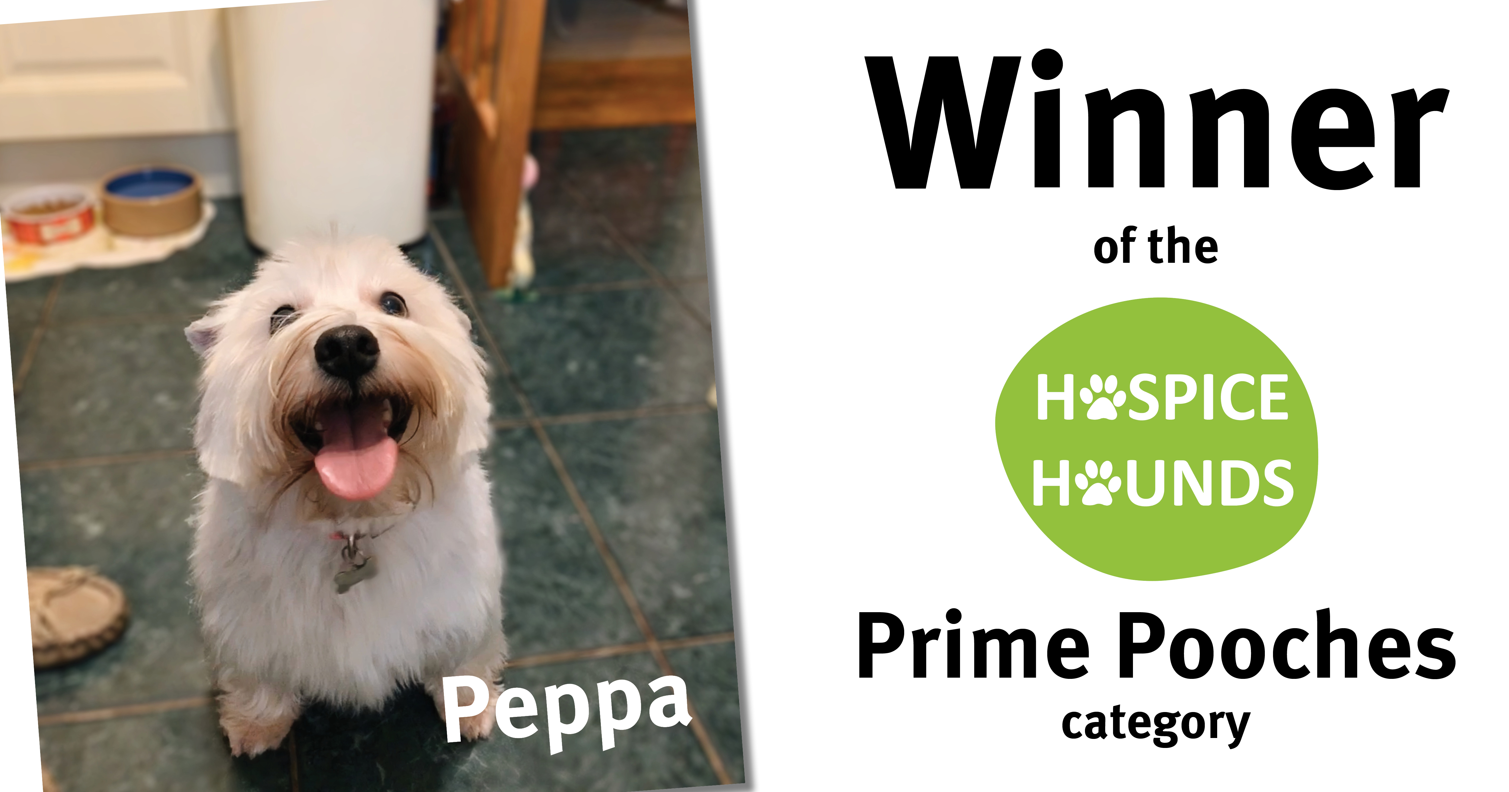 Hospice Hounds prime pooches winner Peppa