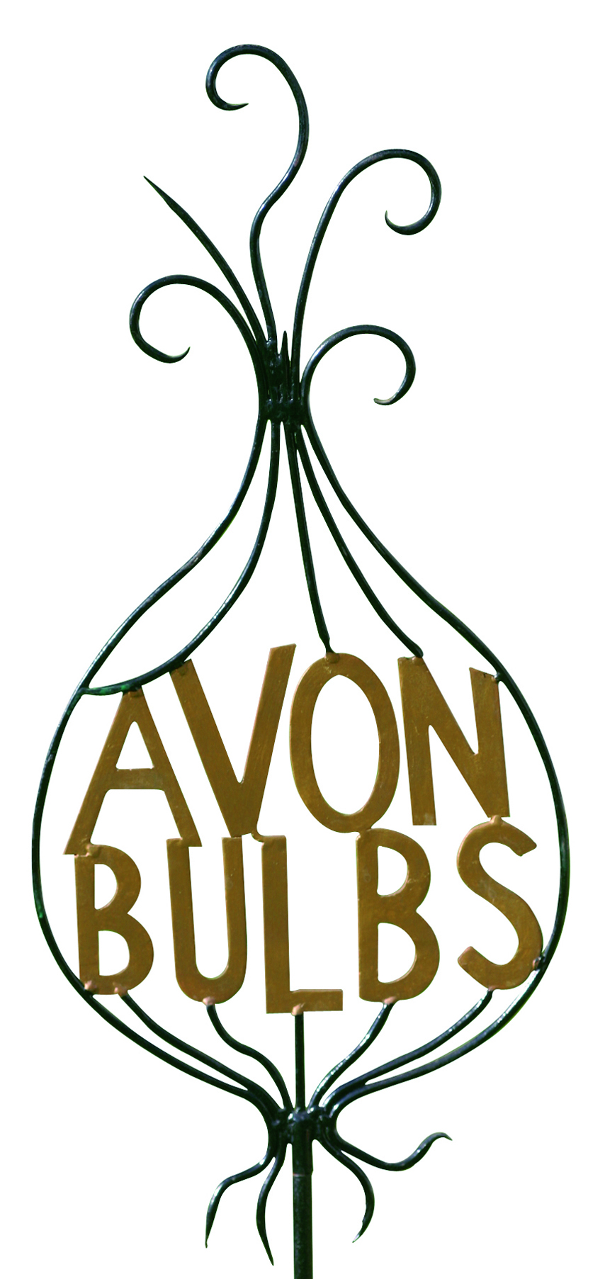 Avon Bulbs