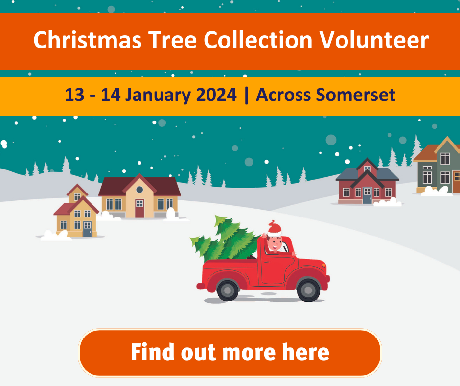 Christmas Tree Collections Volunteer