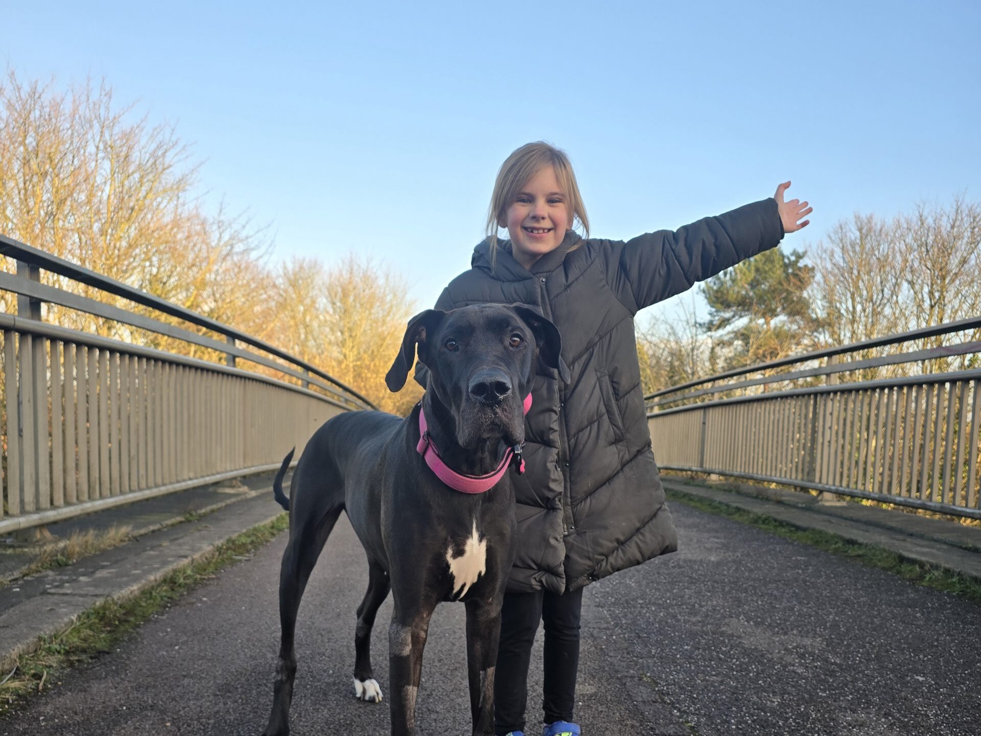 100 Miles Dog Walk in January 2025 participant