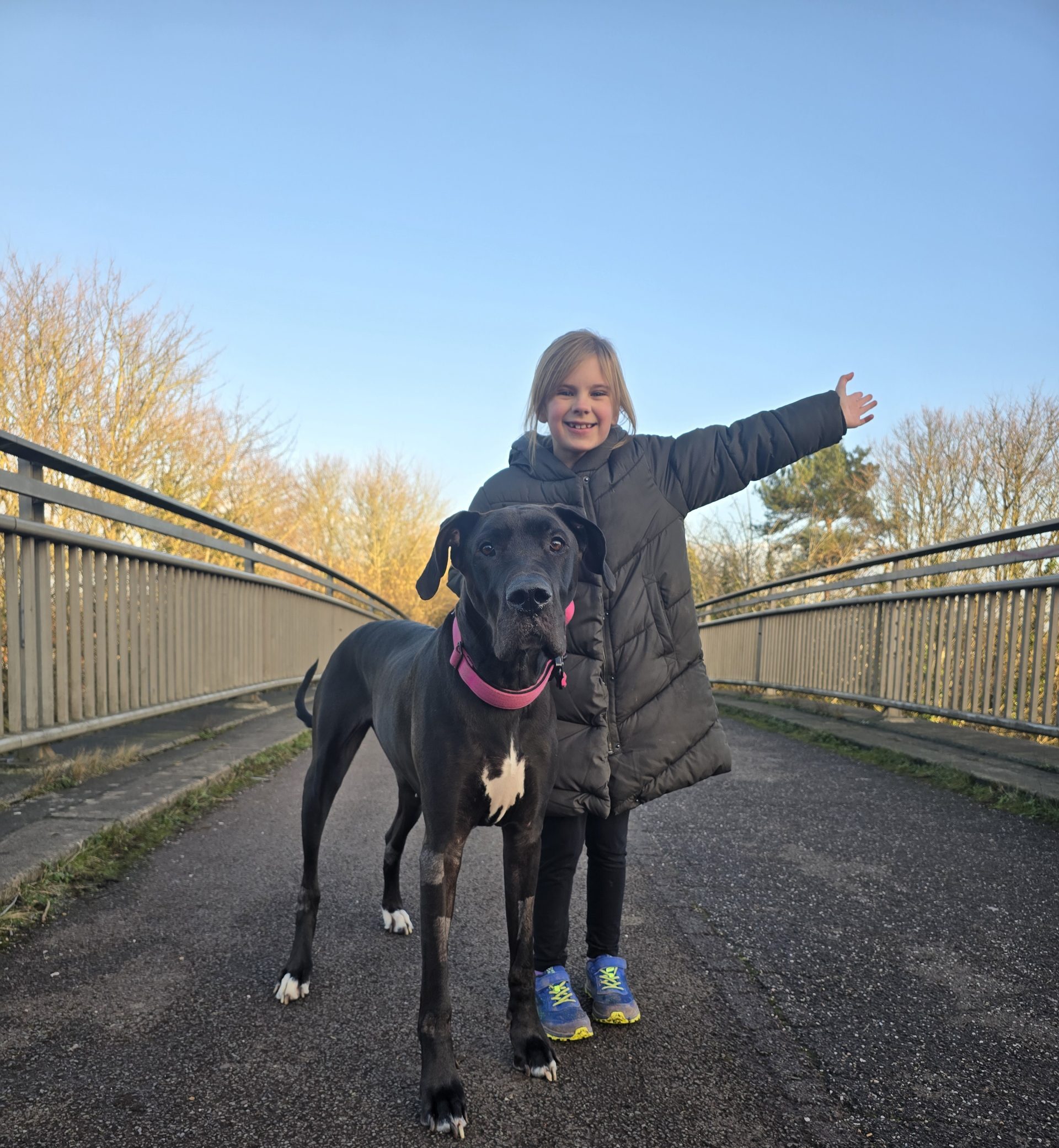 100 Miles Dog Walk in January 2025 participant
