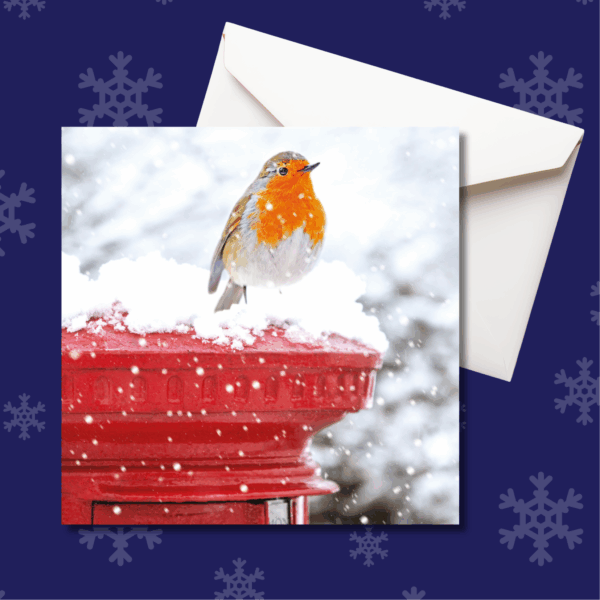 christmas card with potbox and robin